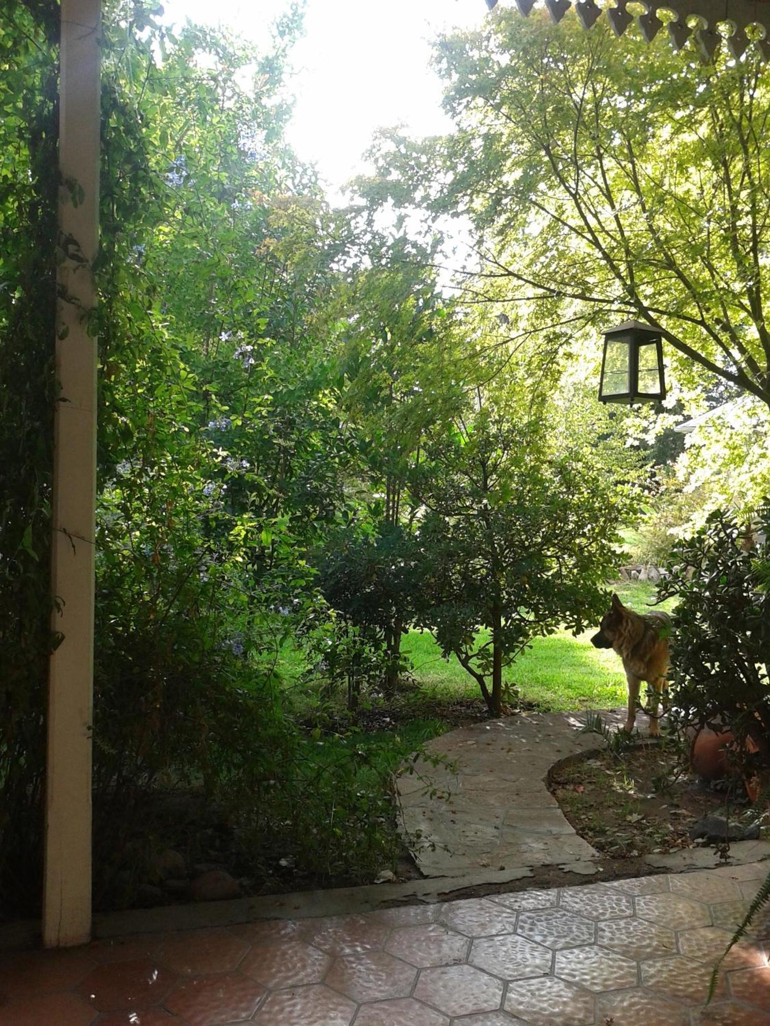 Casco El Trapiche Bed & Breakfast Godoy Cruz Bilik gambar
